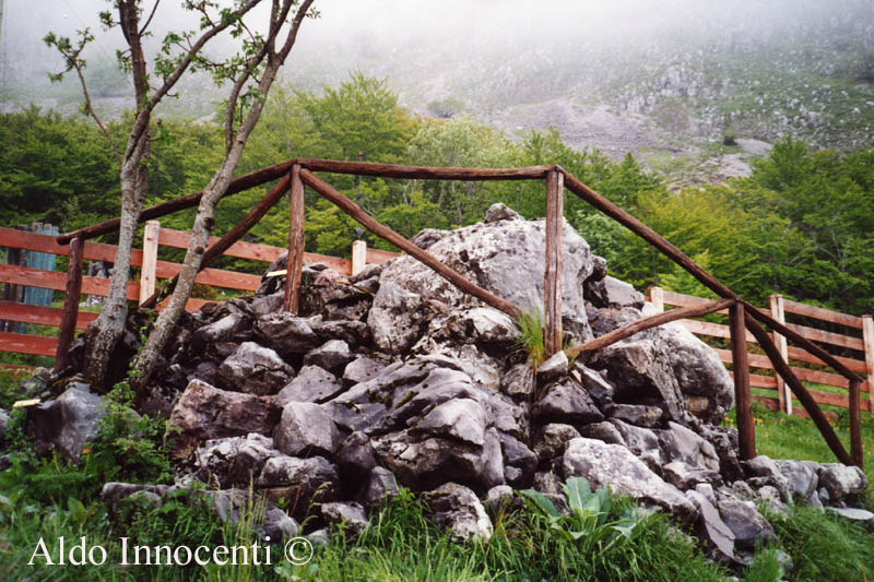 LA ZONA DELLE PIANTE DELLE ROCCE NELL'ORTO BOTANICO DELLA PANIA DI CORFINO